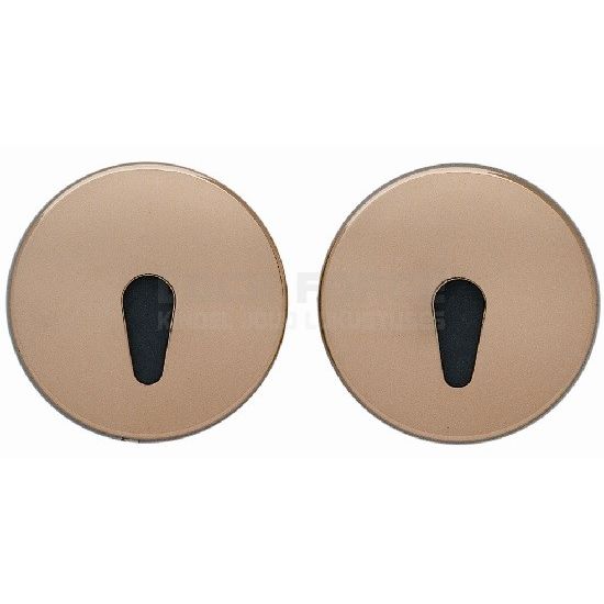 ESCUTCHEON ABLOY 002A CHROME STEEL