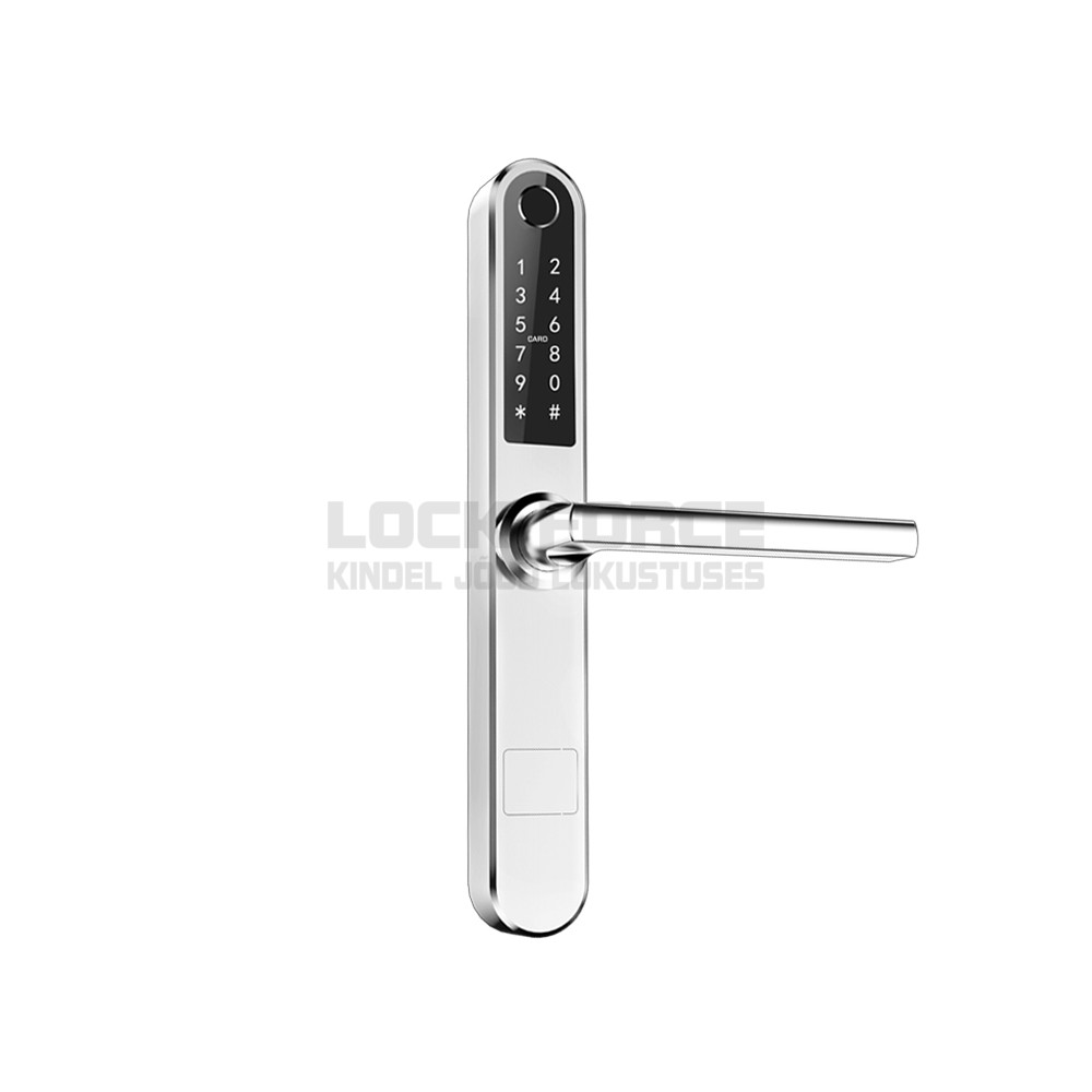 NUTILUKK HALKE TTLOCK HA42WP, 280X38 MM, HÕBE