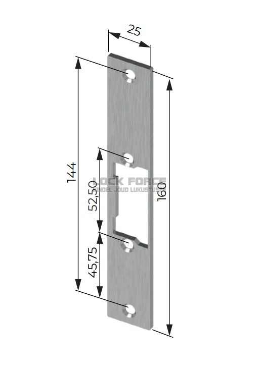FACE PLATE DORCAS FP41, YS INOX, 160x25x3