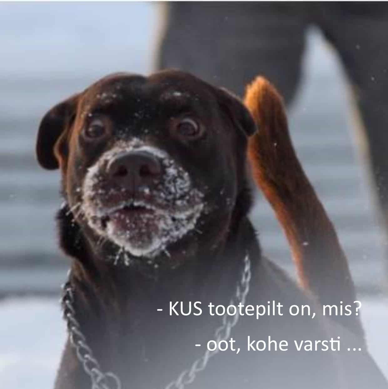 ENTR AKUPANK