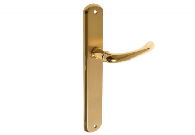 Metal-Bud GAJA Door Handle Set Brass Long-Plate Lacquered Spring Assisted