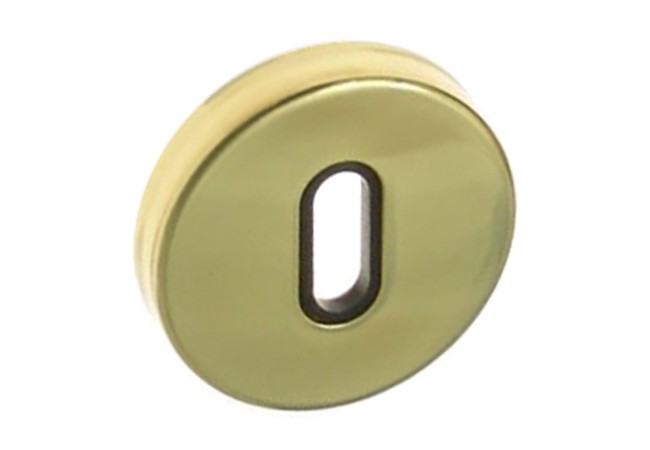 Tarcza T4 Concealed Brass Escutcheon Euro Profile Cylinder Tamper Resistant