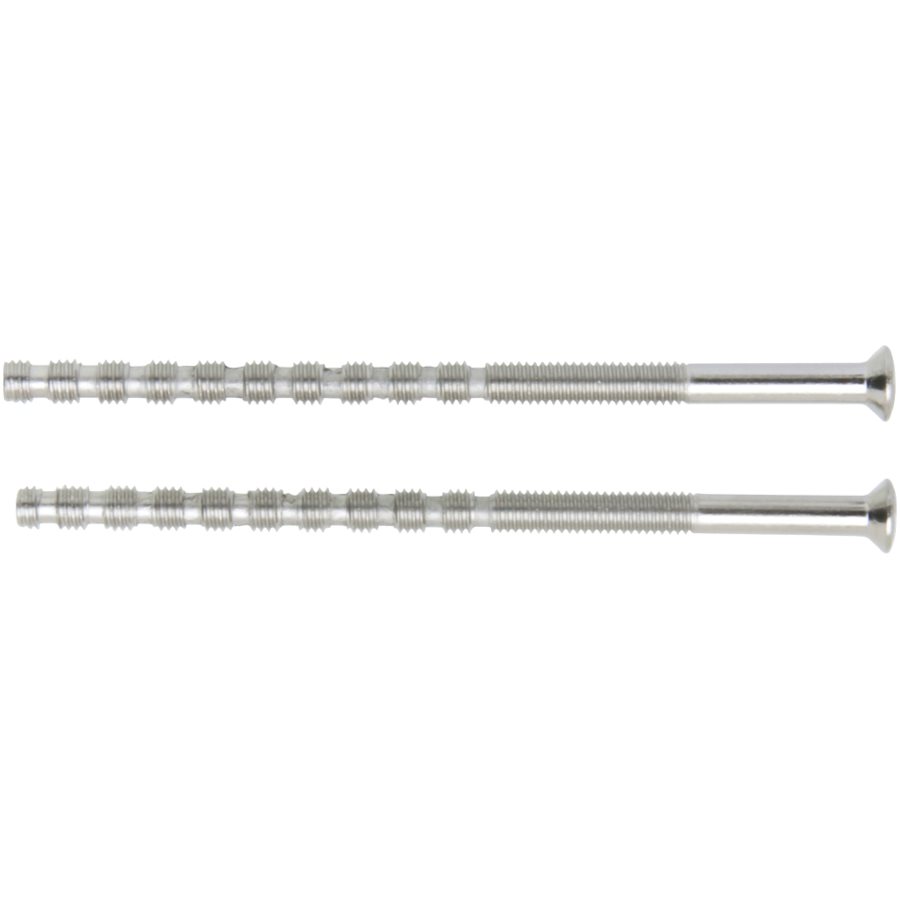 Assa Abloy M4x110 kruvid