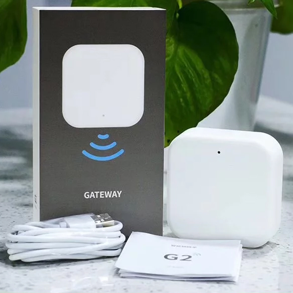 iNOVO Wi-Fi & Bluetooth kontroller ukselukkudele GV2