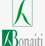 Bonaiti magnetlukk
