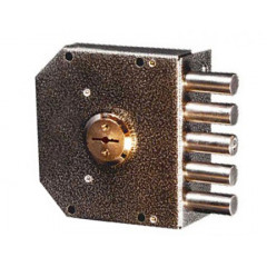 CLASS-GS-S-001 s zashchitoj Pinnapealne lukk